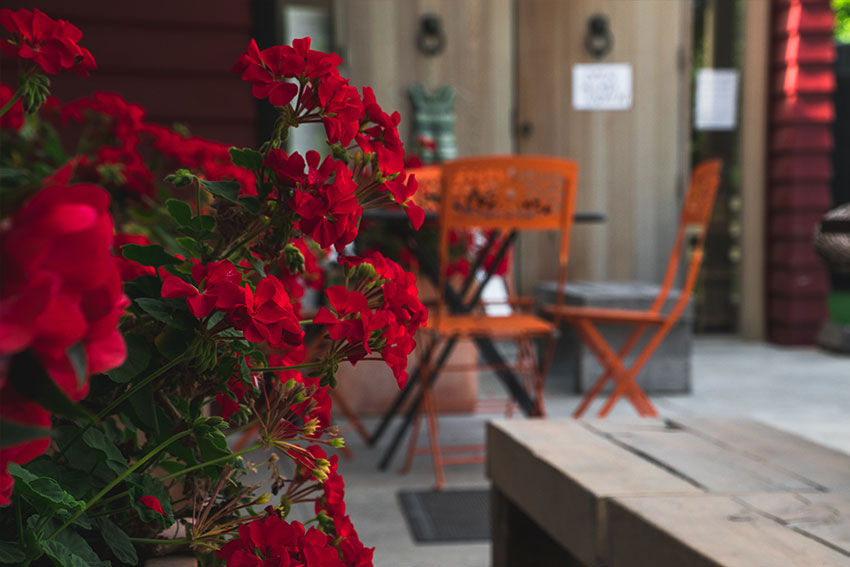 Charlies Gelato courtyard setting